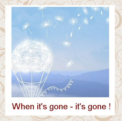 End Of Line & Clearance Items