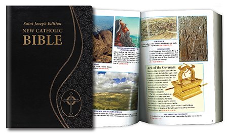 Catholic Family Bible - Black - Large Type - Gift Boxed-Bible-Serenity Gifts