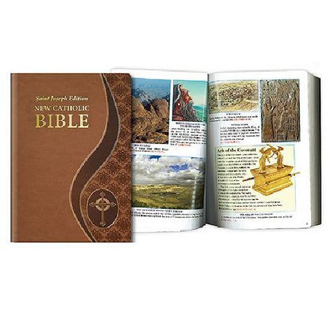 Catholic Family Bible - Tan - Large Type - Gift Boxed-Bible-Serenity Gifts