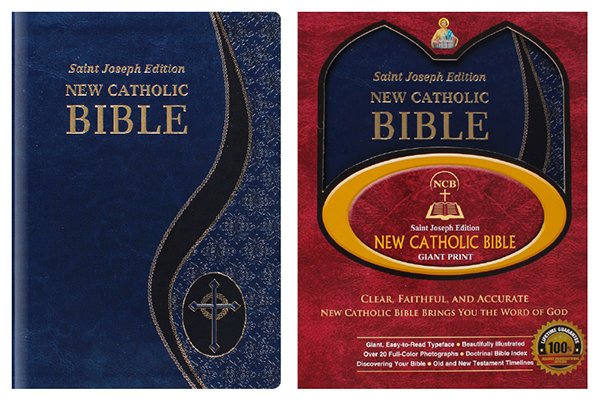 Catholic Family Bible - Blue- Large Type - Gift Boxed-Bible-Serenity Gifts