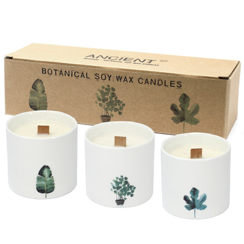 Natural Soy Wax Botanical Candles LARGE - Marsh Viola-Candle-Serenity Gifts