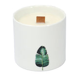 Natural Soy Wax Botanical Candles LARGE - Wild Jasmine-Candle-Serenity Gifts