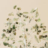 Gemstone Tree with Orgonite Base - 160 Stone - Moss Agate-Crystal Gemstone-Serenity Gifts