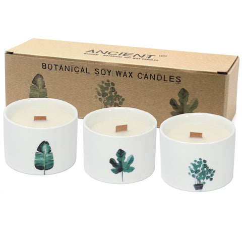 Natural Soy Wax Botanical Candles - Lemon Honeysuckle-Candle-Serenity Gifts