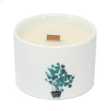 Natural Soy Wax Botanical Candles - Lemon Honeysuckle-Candle-Serenity Gifts