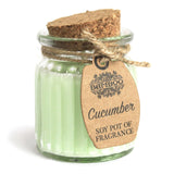 Soybean Pot of Fragrance Candle - Cucumber x 2-Candle-Serenity Gifts